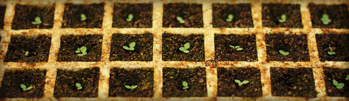 Aplicação do TN Mix