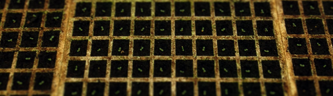 Aplicação do TN Top Mix